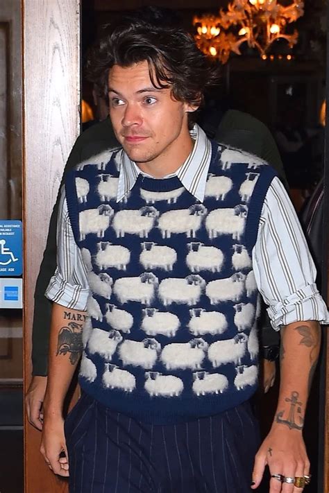 harry styles sweater vest outfit